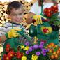 Preview: Kinder-Gartenwerkzeug „plantolino“ (3-teilig)